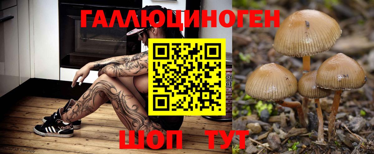 Псилоцибиновые грибы Magic Shrooms  Вход с VPN  купить закладку  Галлюциногенные грибы ЛСД  Еманжелинск 